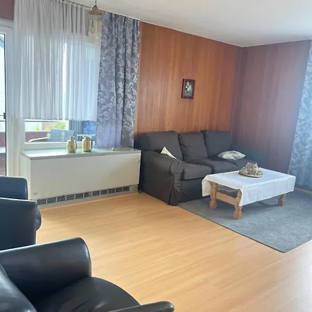 Gemuetliche Im Harz Apartment Sankt Andreasberg
